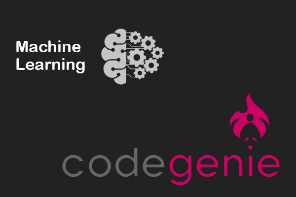 CodeGini (Pvt.) Ltd.